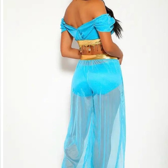 Princess Jasmine Costume - Picture 4 of 4